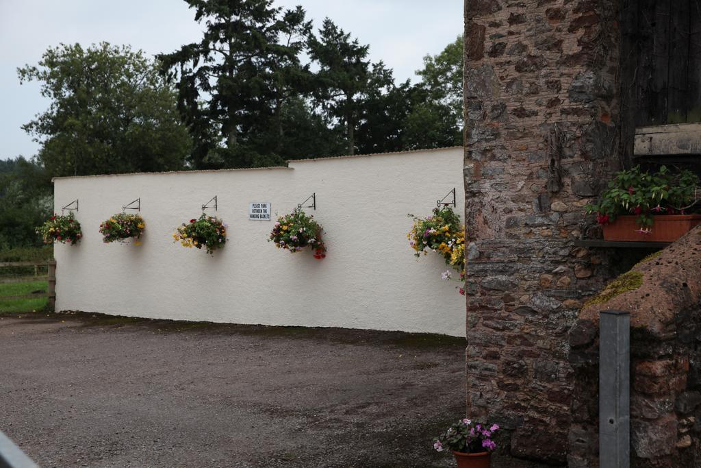 Weir Mill Farm Bed and Breakfast Cullompton Eksteriør billede