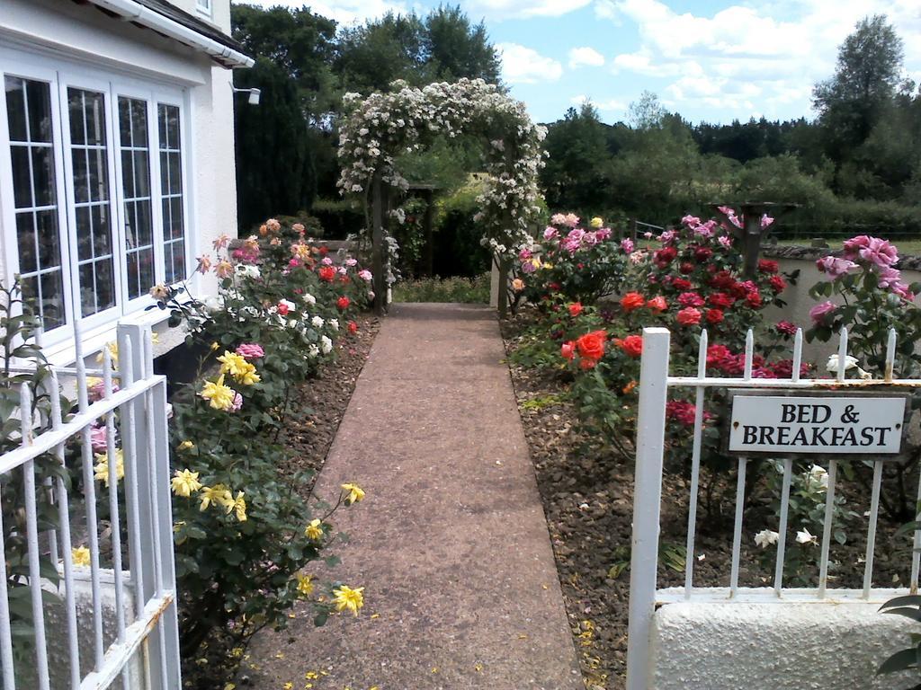 Weir Mill Farm Bed and Breakfast Cullompton Eksteriør billede